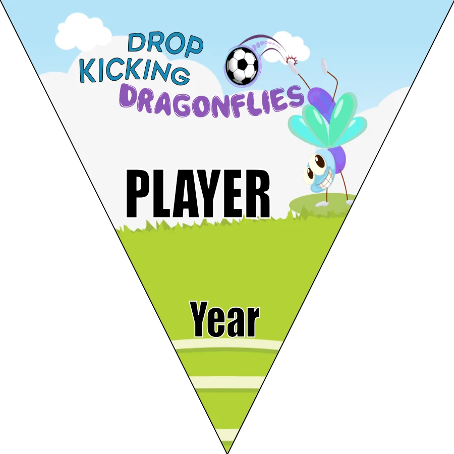 Dragonflies Drop Kicking Soccer Banner-soccer-banner-stand-picture