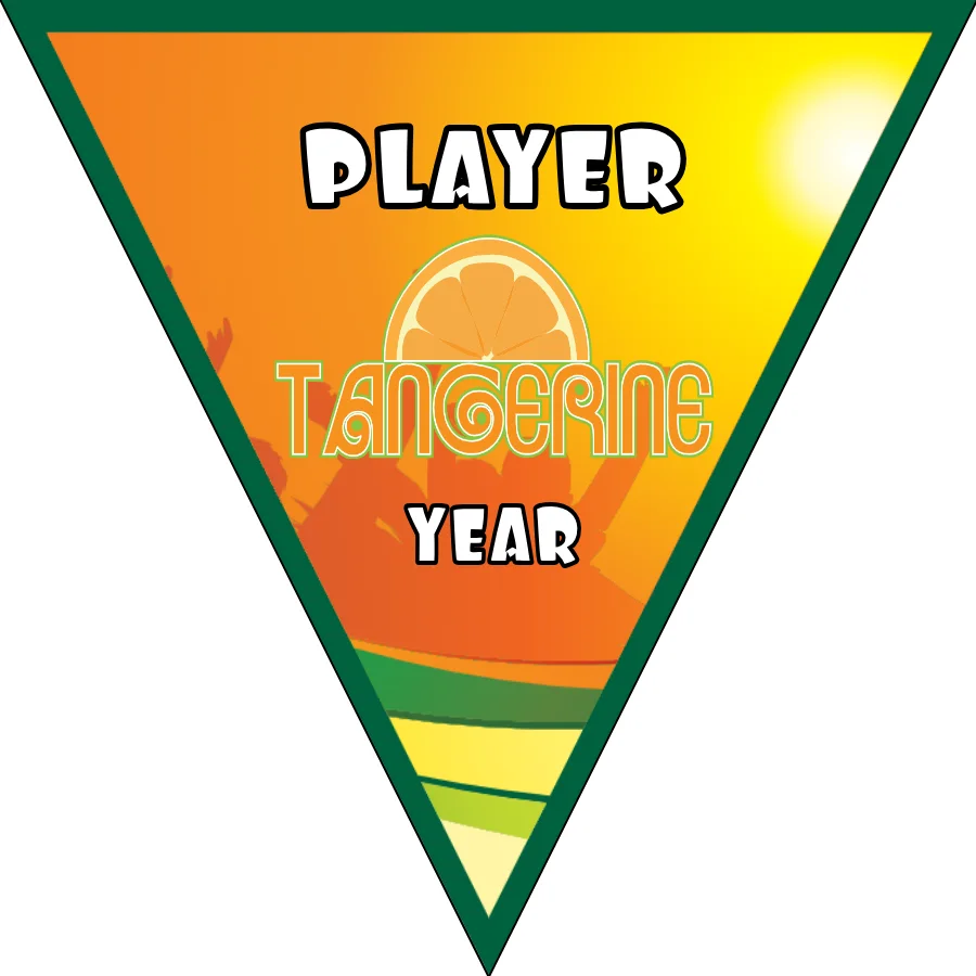 Tangerine Soccer Banner,-homemade-soccer-banner-ideas-picture
