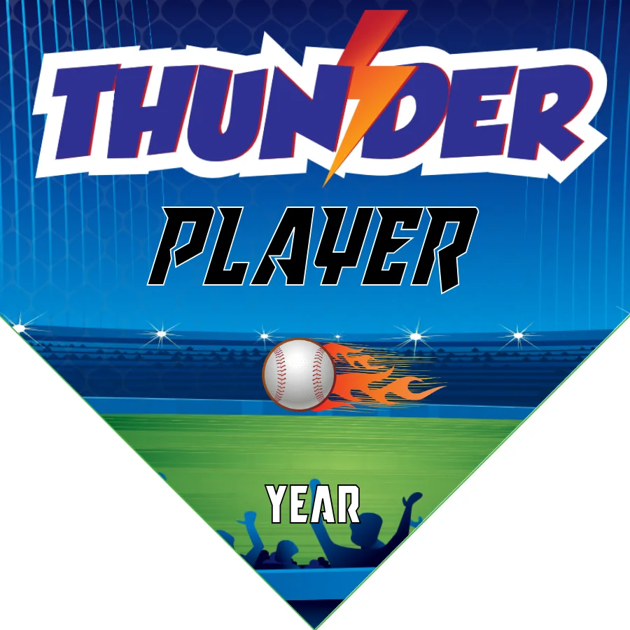 Thunder 1 Baseball Banner-baseball-banners-for-little-league-homemade-images