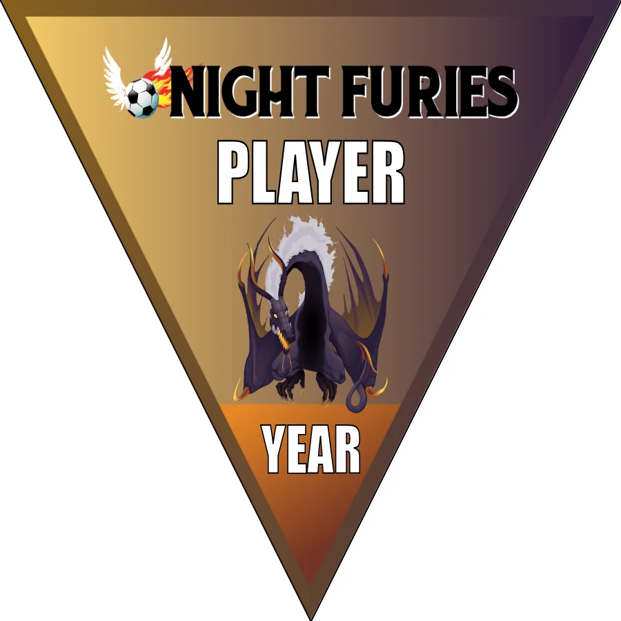 Night Furies Soccer Banner-soccer-banners-and-flags-picture