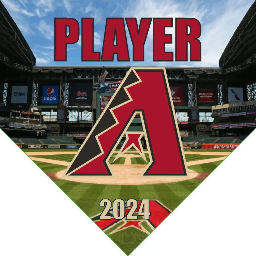 Arizona 1 Baseball Banner