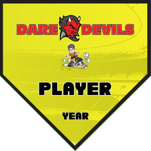 DareDevils Soccer Banner-banner-soccer-player-picture