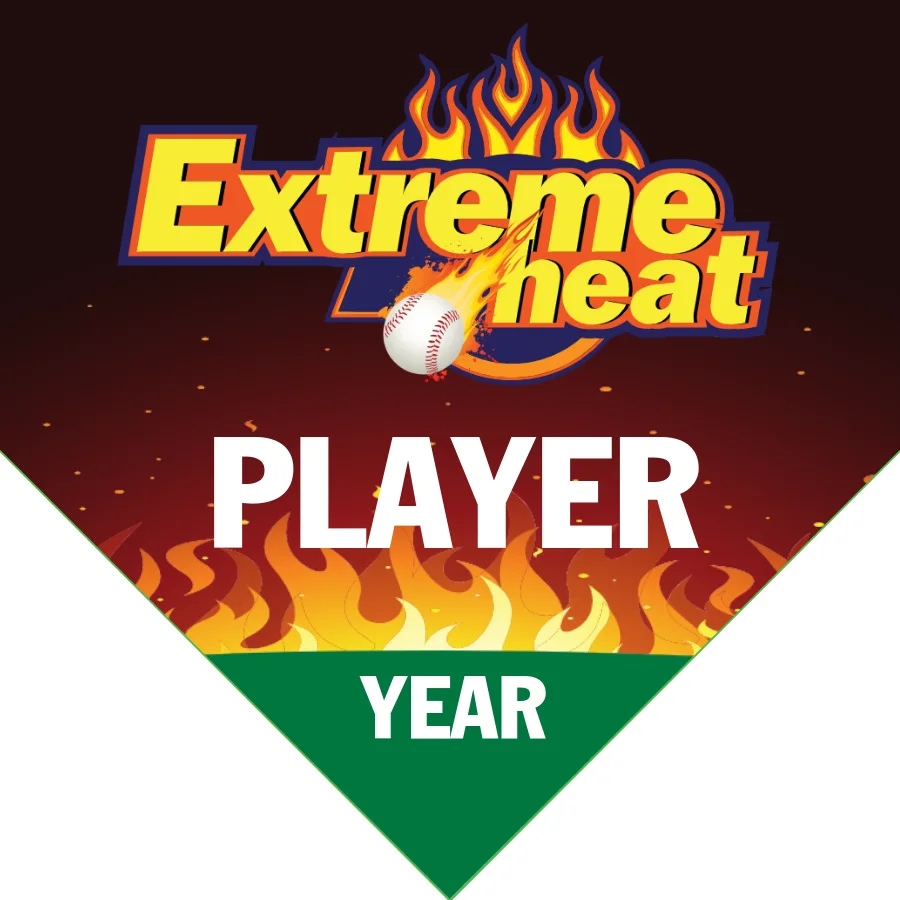 Extreme heat 3 Softball Banner-softball-team-banner-templates-images