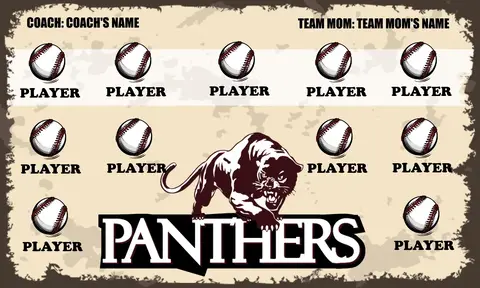 Panthers 3 Softball Banner