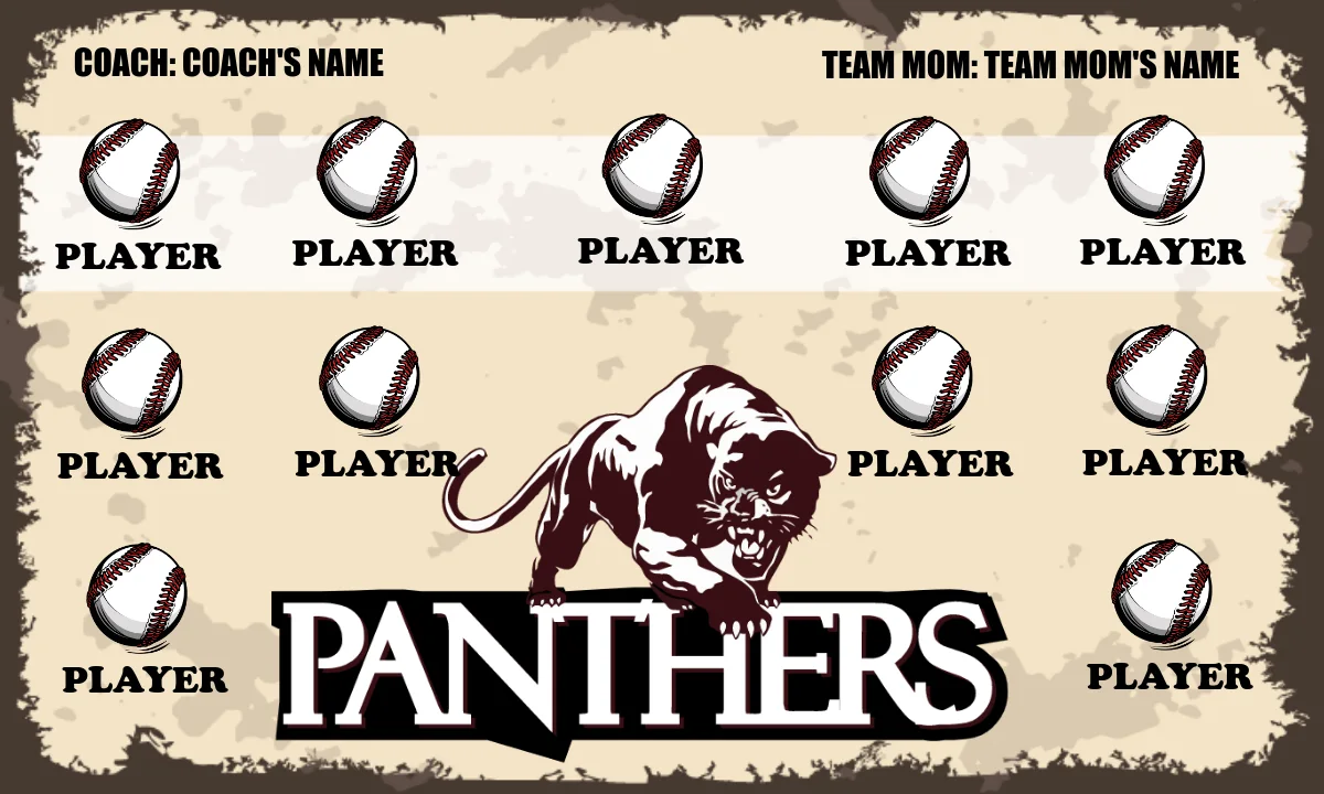 Panthers 3 Softball Banner