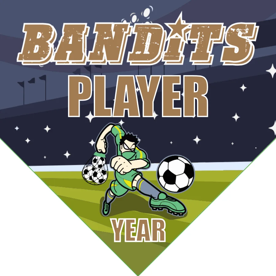 Bandits 5 Soccer Banner-soccer-banner-stand-pvc-picture