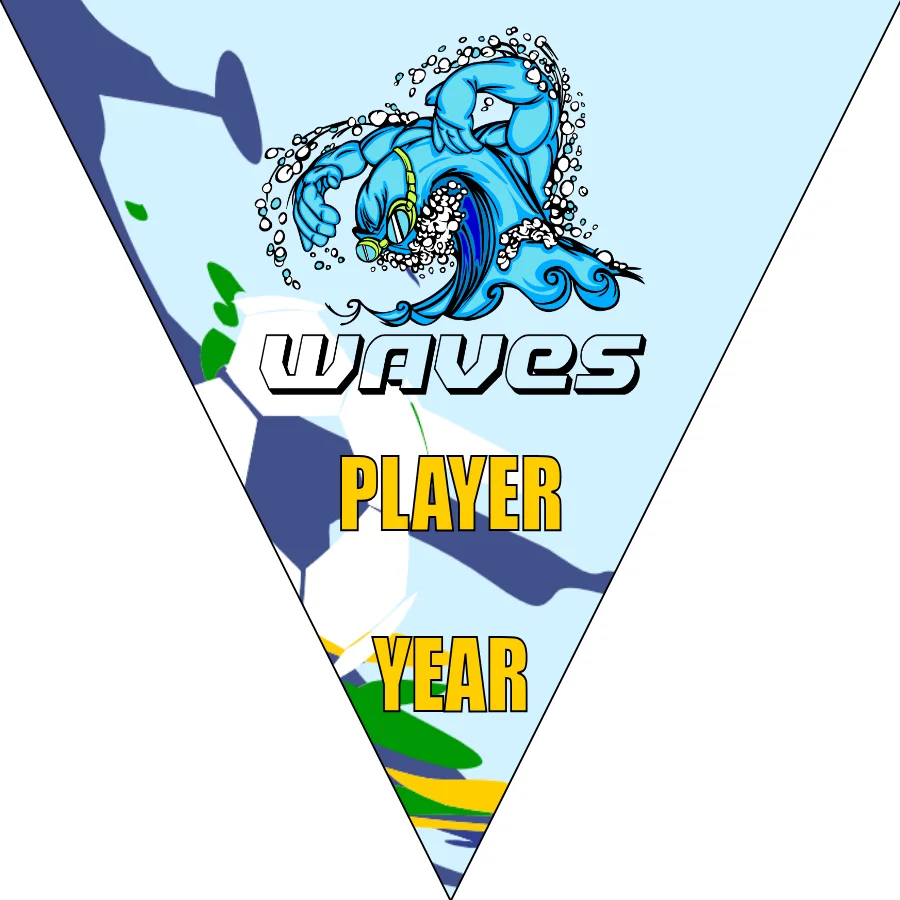 Waves Soccer Banner-soccer-team-banners-ayso-picture