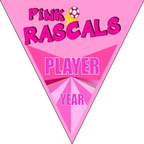 Rascals Soccer Banner-soccer-banner-stand-pvc-picture