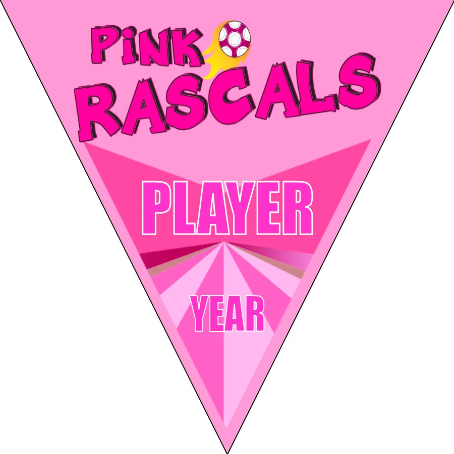 Rascals Soccer Banner-soccer-banner-stand-pvc-picture