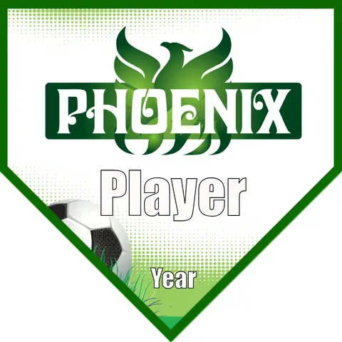 Phoenix 2 Soccer Banner-soccer-banner-size-picture