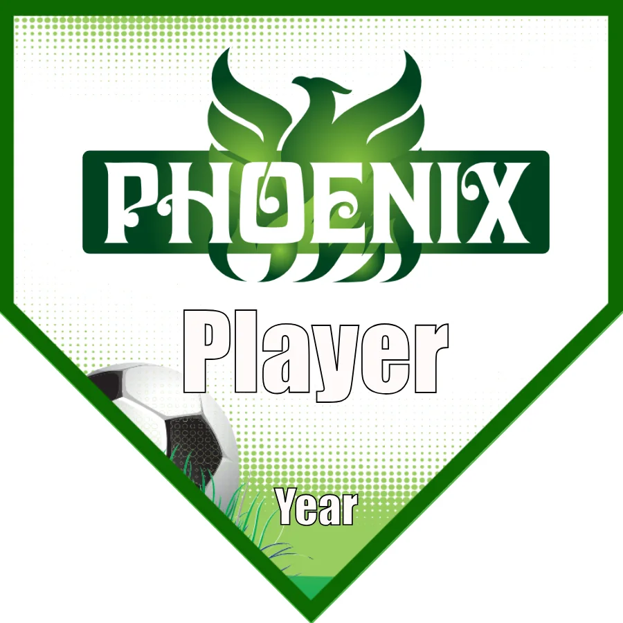Phoenix 2 Soccer Banner-soccer-banner-size-picture