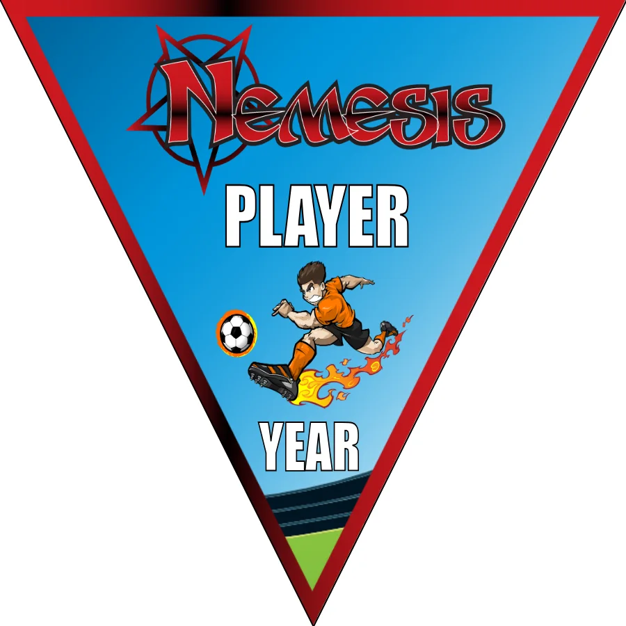Nemesis Soccer Banner-soccer-birthday-banner-picture