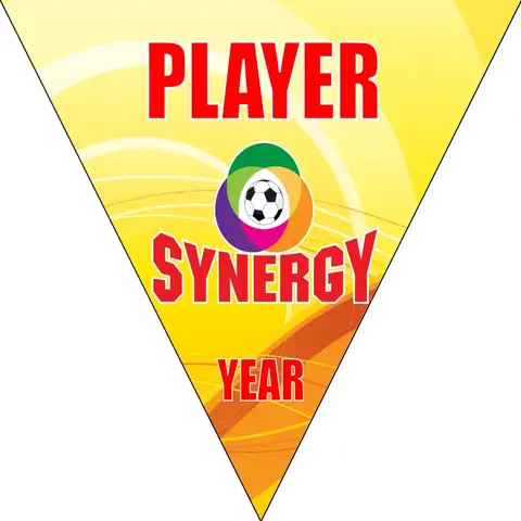 Synegry Soccer Banner-soccer-banner-flags-picture