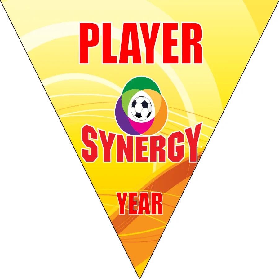 Synegry Soccer Banner-soccer-banner-flags-picture