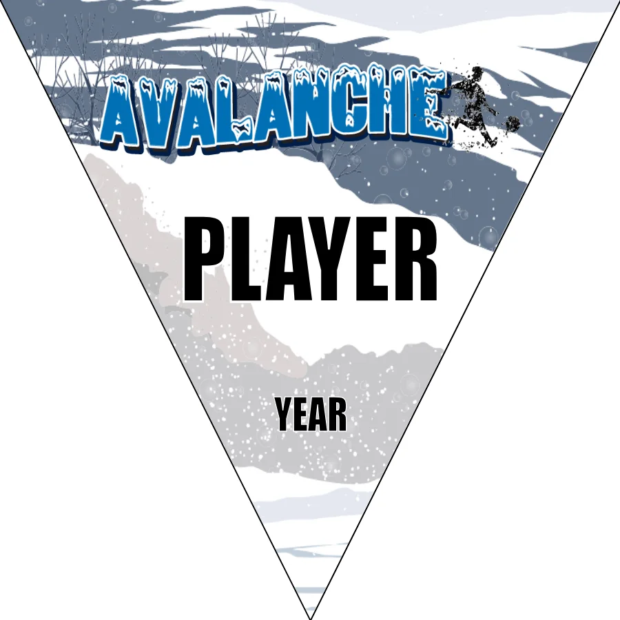 Avalanche 2 Soccer Banner-soccer-banners-folsom-picture