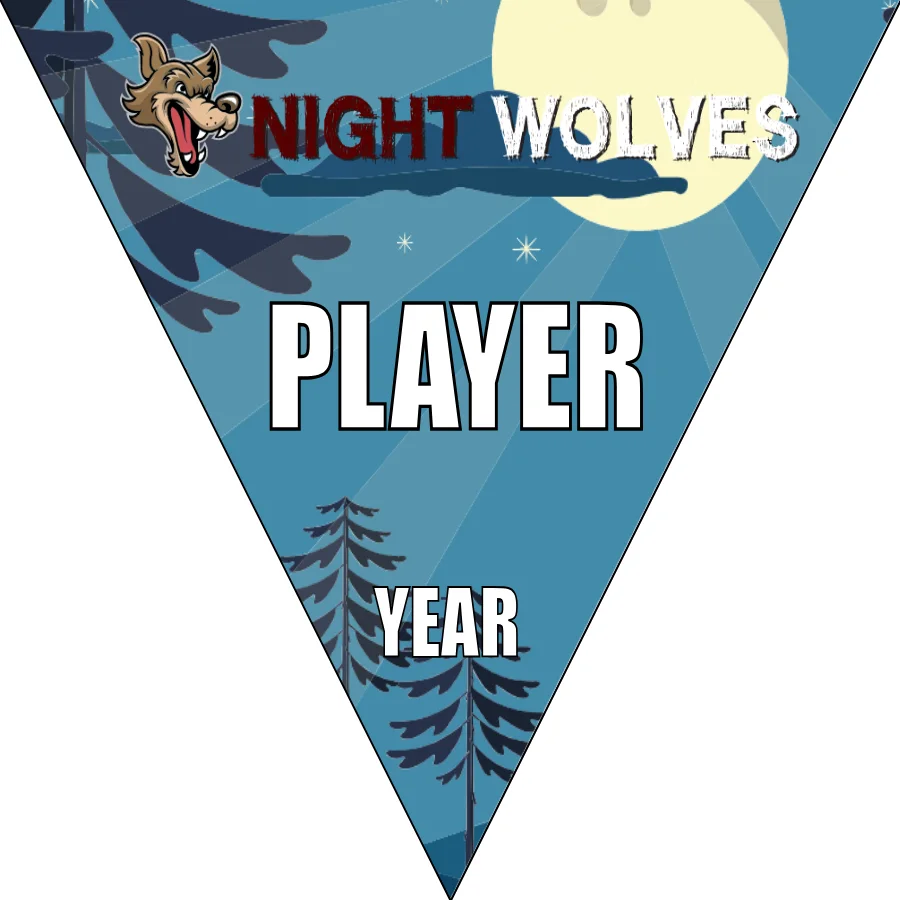 Night Wolves 3 Soccer Banner-soccer-banners-and-flags-picture