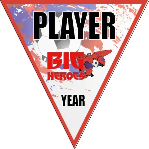 Big Heroes Soccer Banner-frozen-soccer-banner-picture