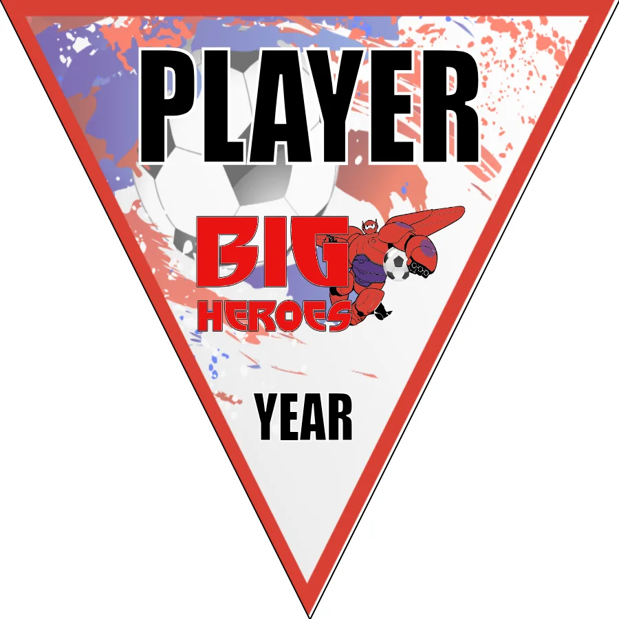 Big Heroes Soccer Banner-frozen-soccer-banner-picture