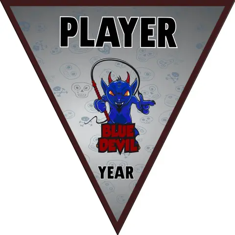 Bluedevil Soccer Banner-order-soccer-banner-picture
