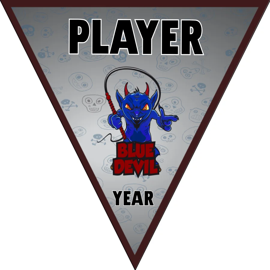 Bluedevil Soccer Banner-order-soccer-banner-picture
