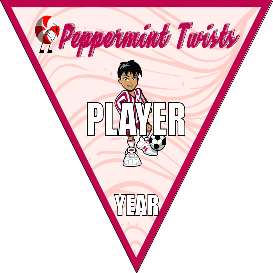 Peppermint Twists Soccer Banner-soccer-banners-sacramento-picture