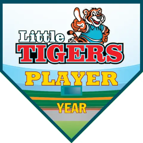 LitteTiger 2 Softball Banner-diy-softball-banner-images