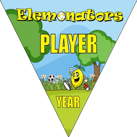 Elemonators 2 Soccer Banner-soccer-banner-pole-kit-picture