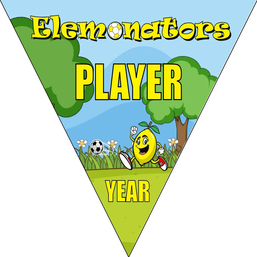 Elemonators 2 Soccer Banner-soccer-banner-pole-kit-picture