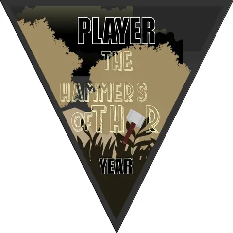 Hammers of Thor Soccer Banner-soccer-banner-gallery-picture