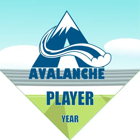 Avalance Soccer Banner-soccer-banner-frame-picture
