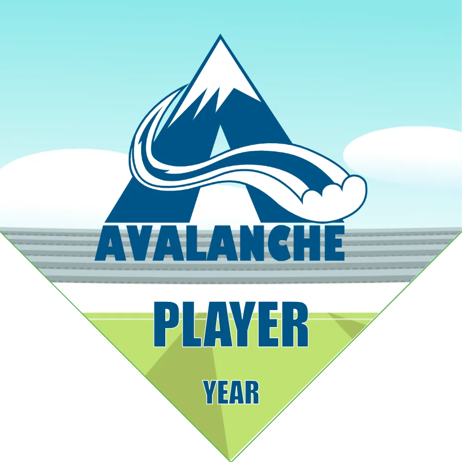 Avalance Soccer Banner-soccer-banner-frame-picture