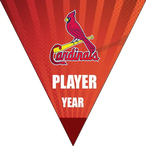 Cardinals 5 Baseball Banner-modern-baseball-banner-images