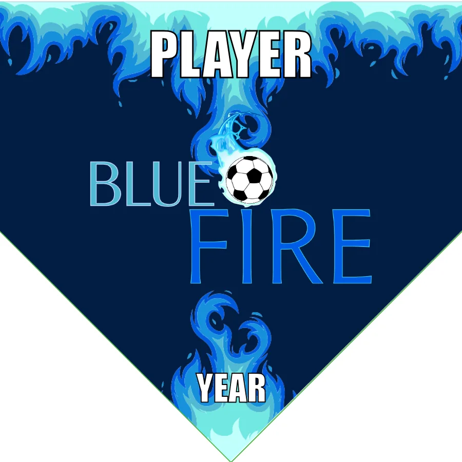Blue fire Soccer Banner-cutest-soccer-banner-picture