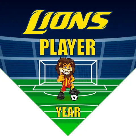 Lions 5 Soccer Banner-soccer-team-banners-picture