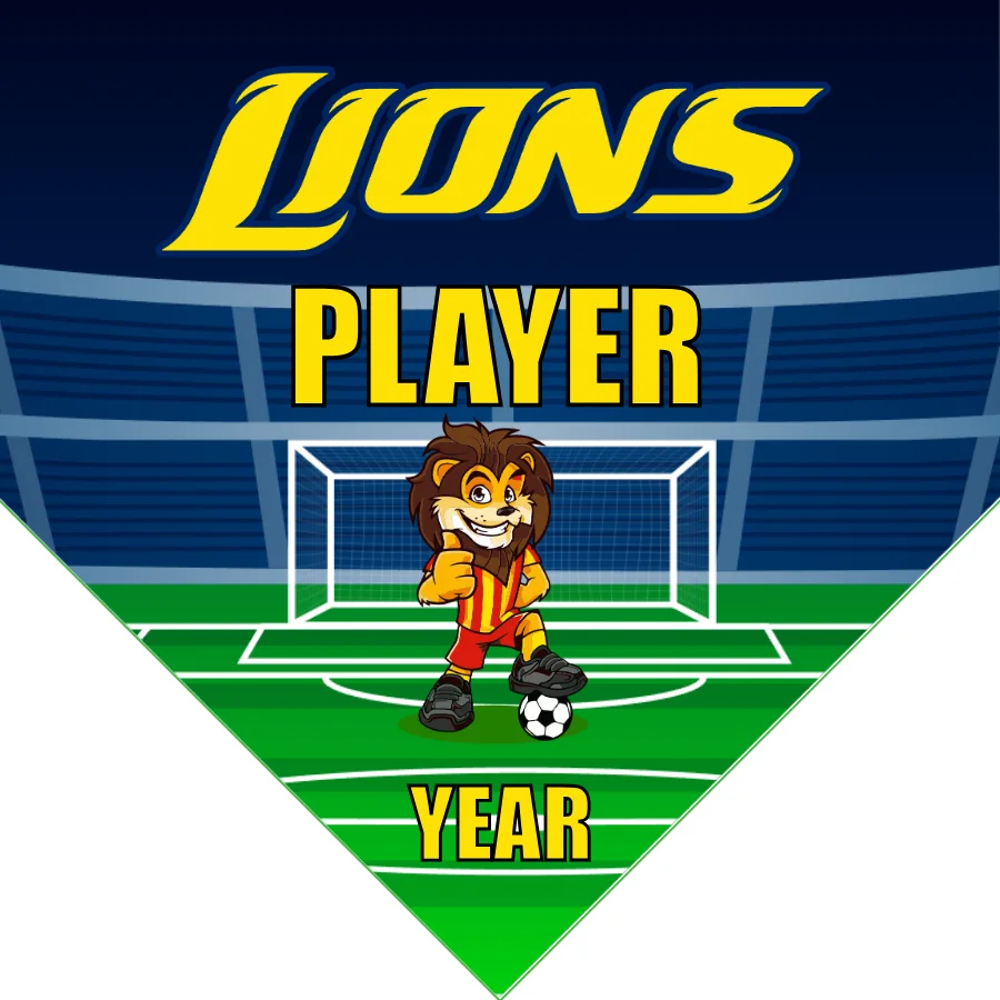 Lions 5 Soccer Banner-soccer-team-banners-picture