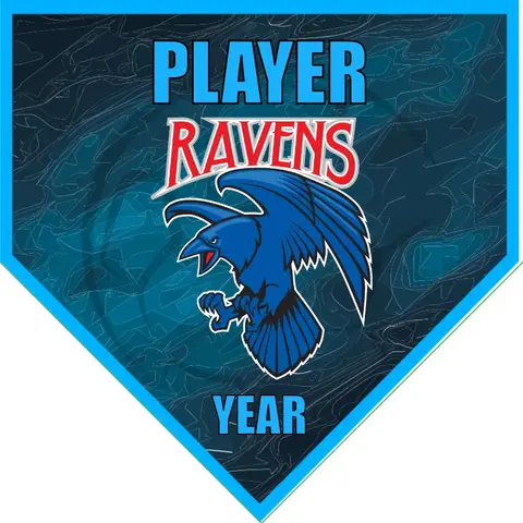 Ravens Soccer Banner-soccer-team-banner-picture