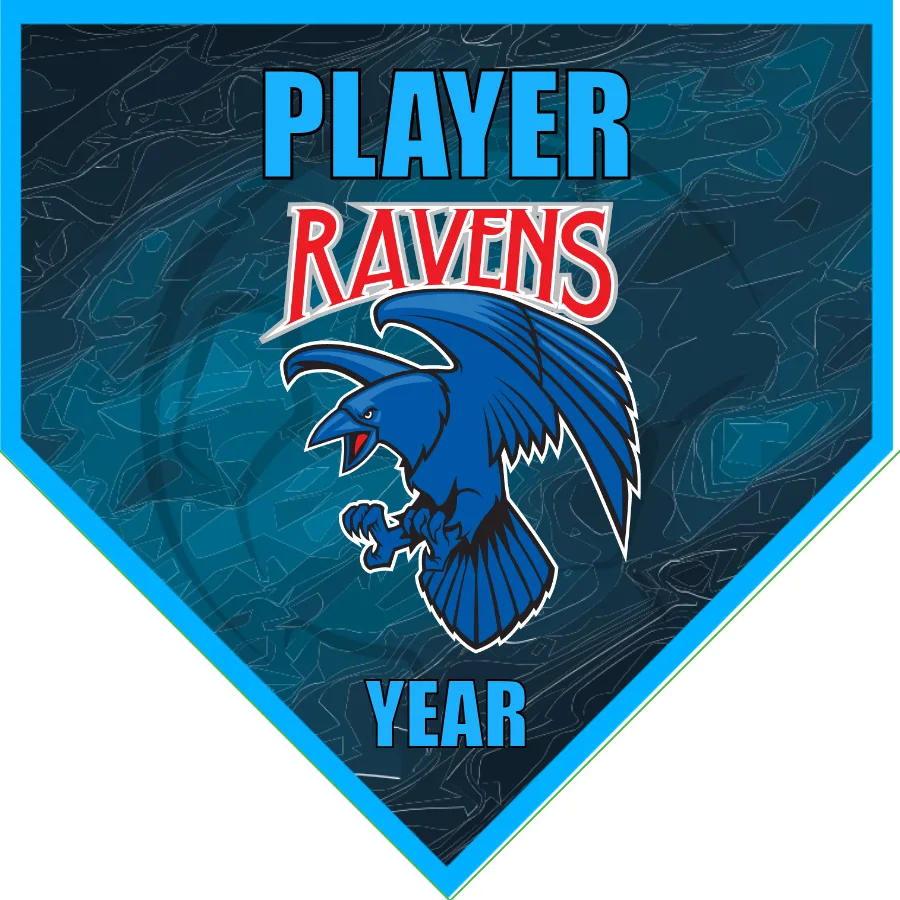 Ravens Soccer Banner-soccer-team-banner-picture