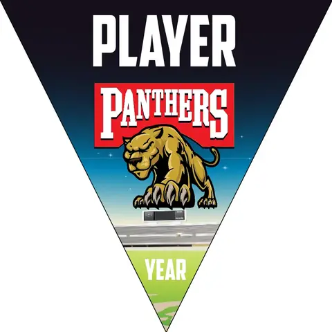 Panthers 2 Softball Banner-softball-banner-size-picture
