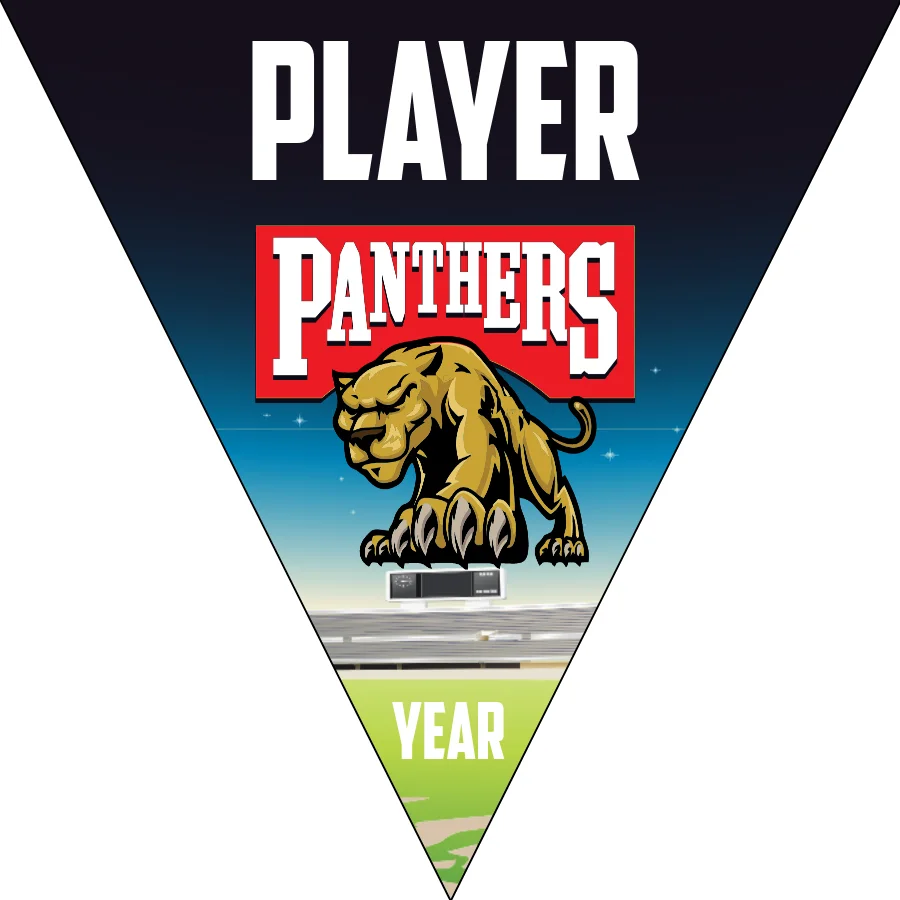 Panthers 2 Softball Banner-softball-banner-size-picture