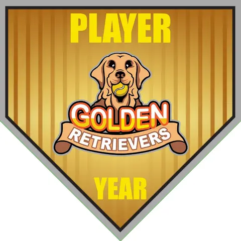Golden Retrievers-silver-gold-home-softball-vinyl-banners-picture