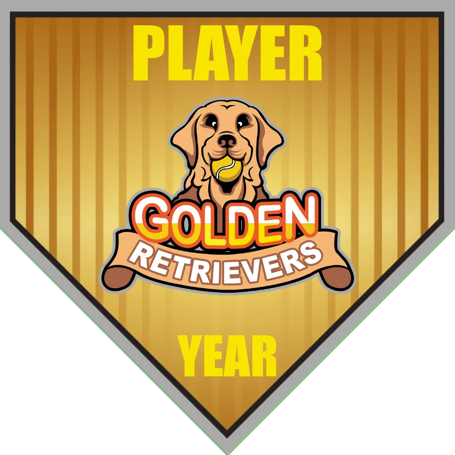 Golden Retrievers-silver-gold-home-softball-vinyl-banners-picture