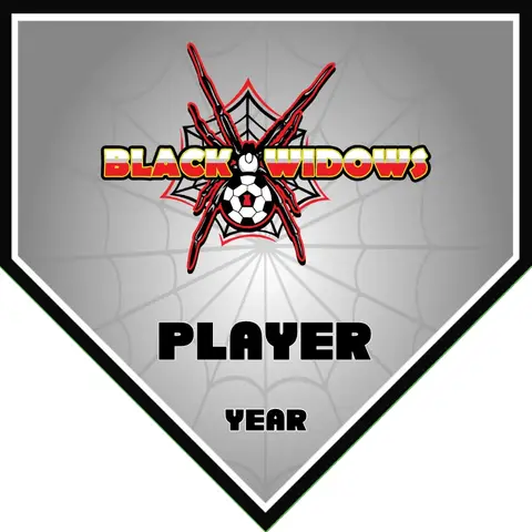 Black Widows Soccer Banner-soccer-banners-rohnert-park-picture