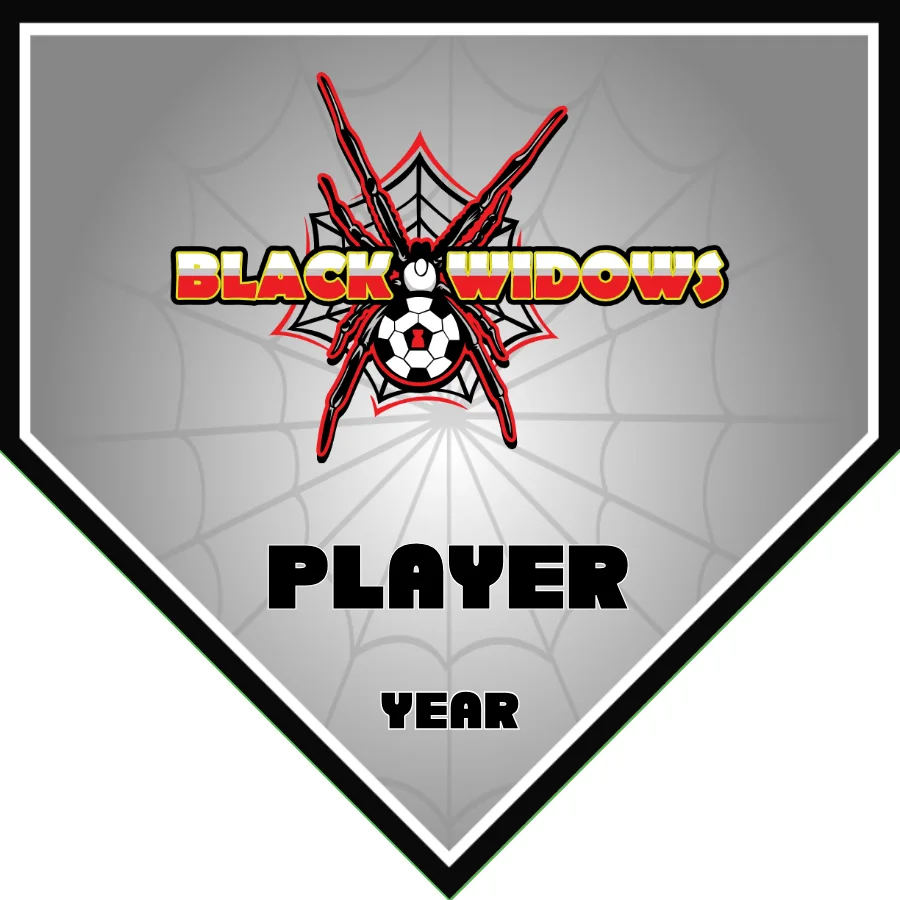 Black Widows Soccer Banner-soccer-banners-rohnert-park-picture