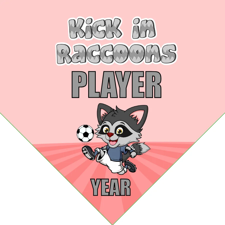 Lizards Soccer Banner-soccer-team-banners-picture