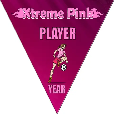 Xtreme Pink Soccer Banner-youth-soccer-banners-picture