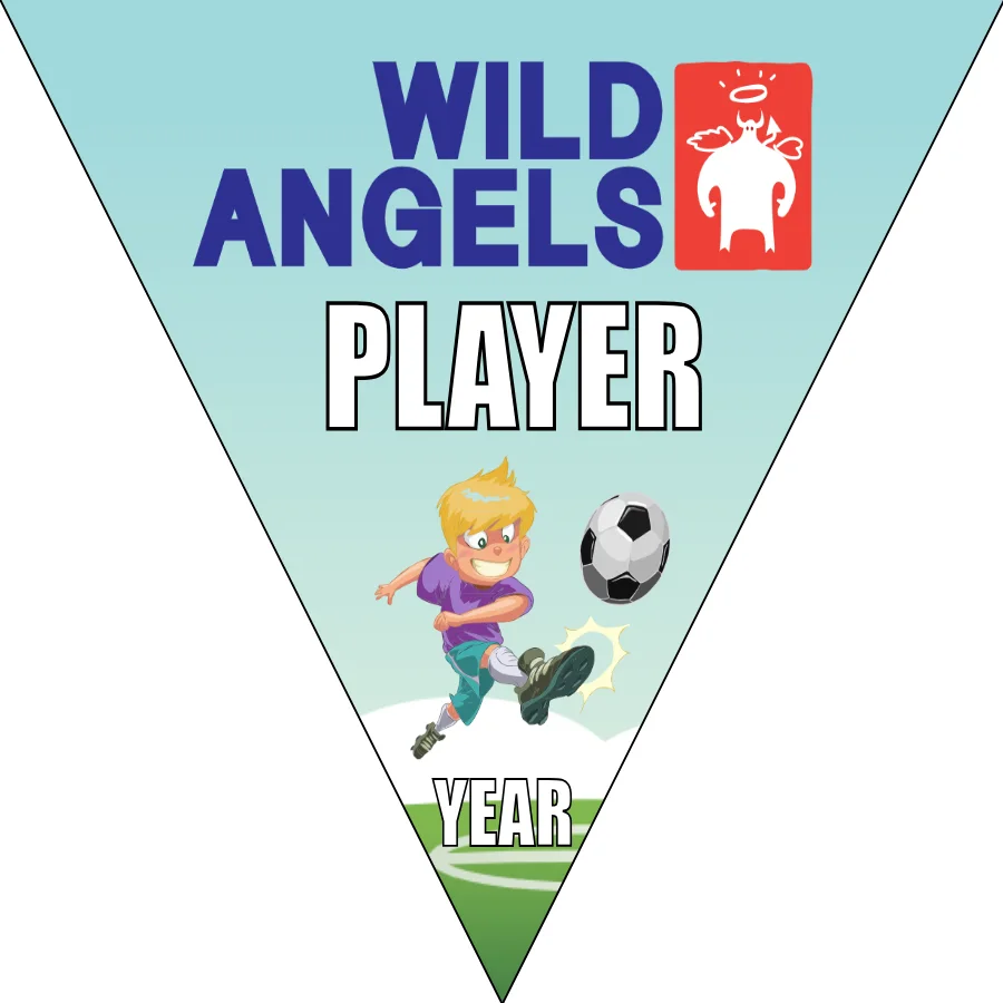 Wild Angles Soccer Banner-soccer-banner-frame-picture