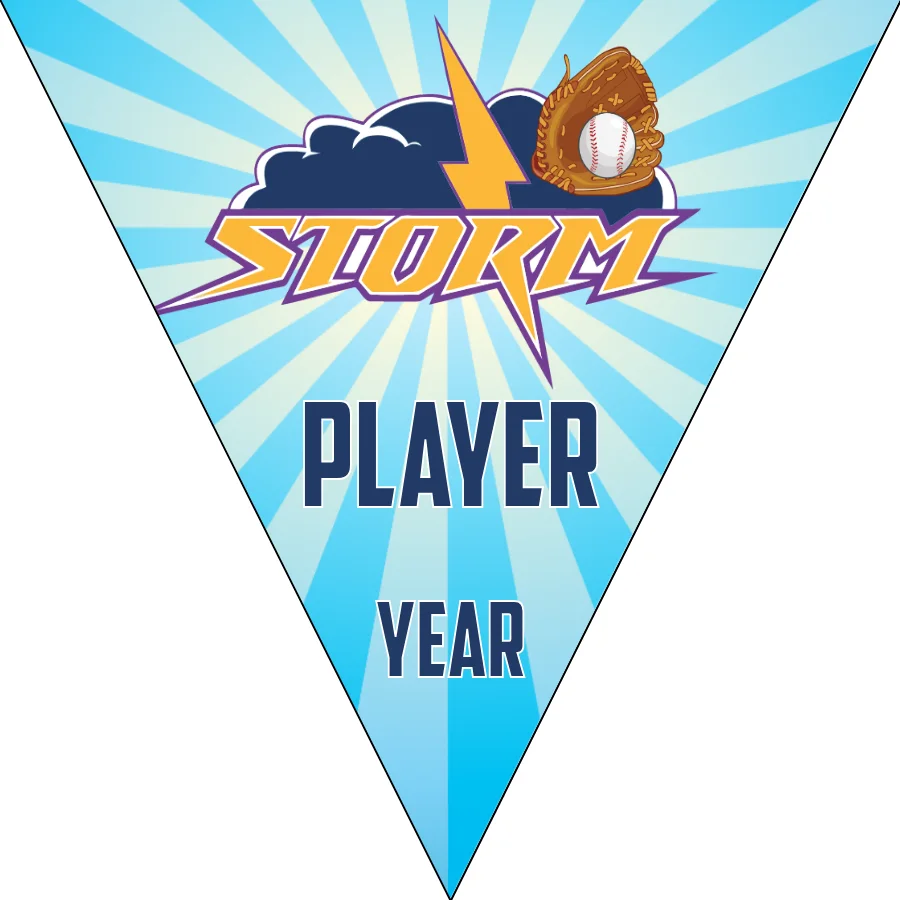 Storm 2-yellow-blue-triangle-softball-banner-gallery-picture