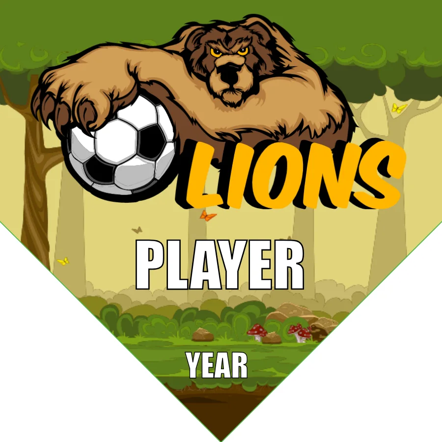Lions 3 Soccer Banner-soccer-team-banners-picture