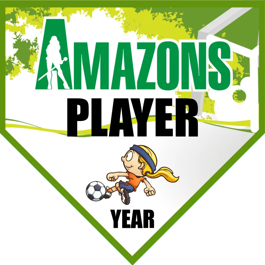 Amazons Soccer Banner-soccer-banner-templates-picture