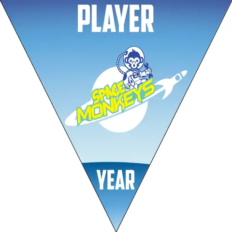 SpaceMonkey-brown-monkey-triangle-softball-banner-designs-picture